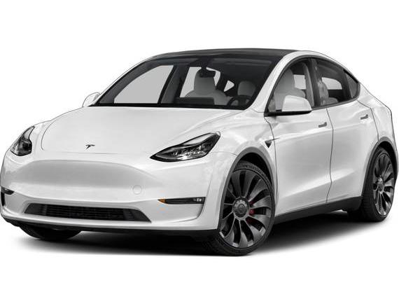 TESLA MODEL Y 2023 7SAYGDEE0PF824251 image